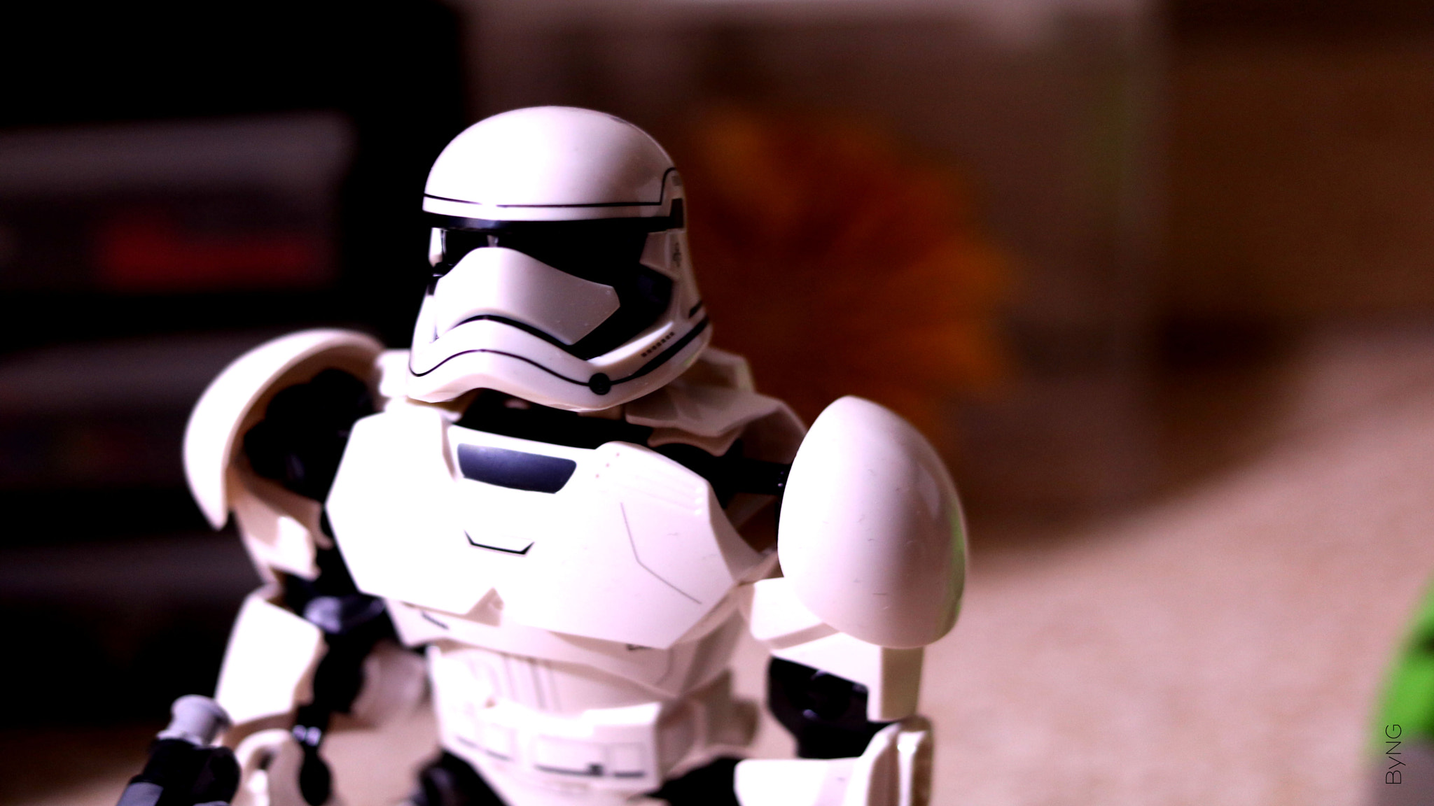 Canon EF 40mm F2.8 STM sample photo. Ngstartwars photography