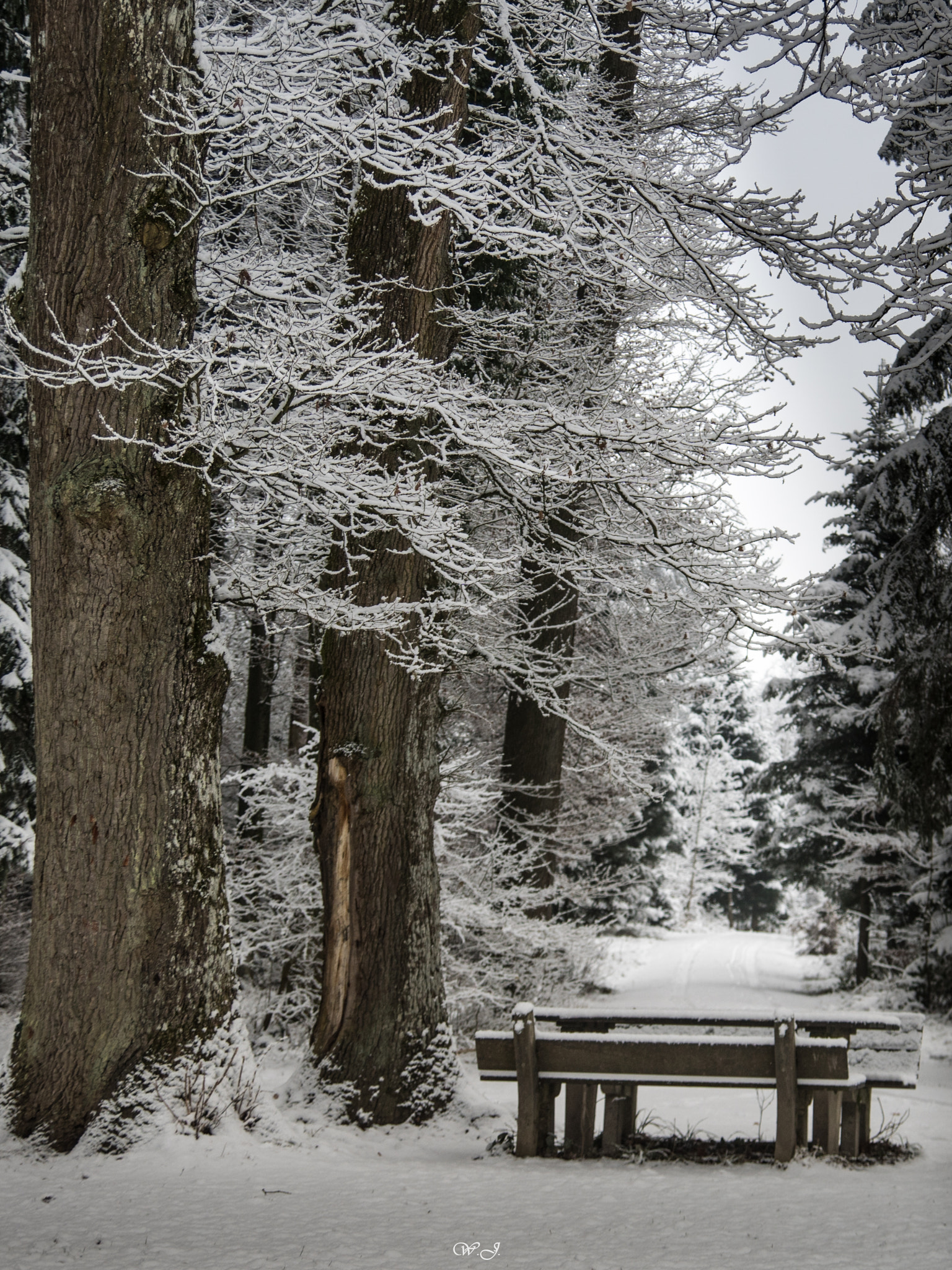 Sony ILCA-77M2 sample photo. Frosty picnic place photography