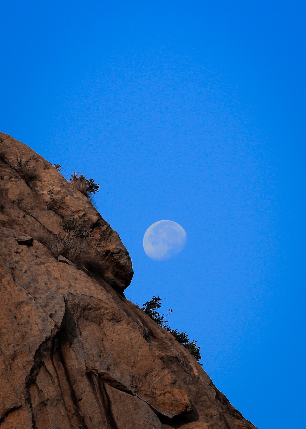 Canon EOS 550D (EOS Rebel T2i / EOS Kiss X4) + Canon EF 70-200mm F4L USM sample photo. The moonset!!! photography