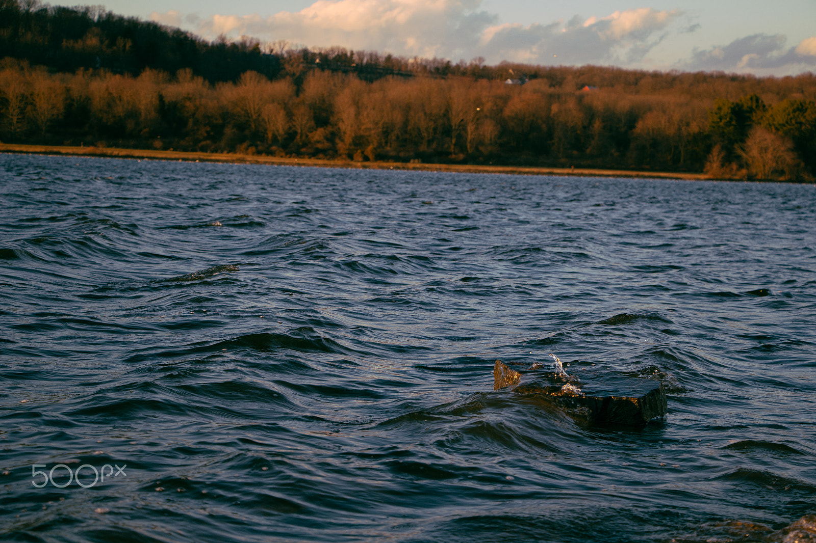 Canon EOS 100D (EOS Rebel SL1 / EOS Kiss X7) sample photo. Wavey photography