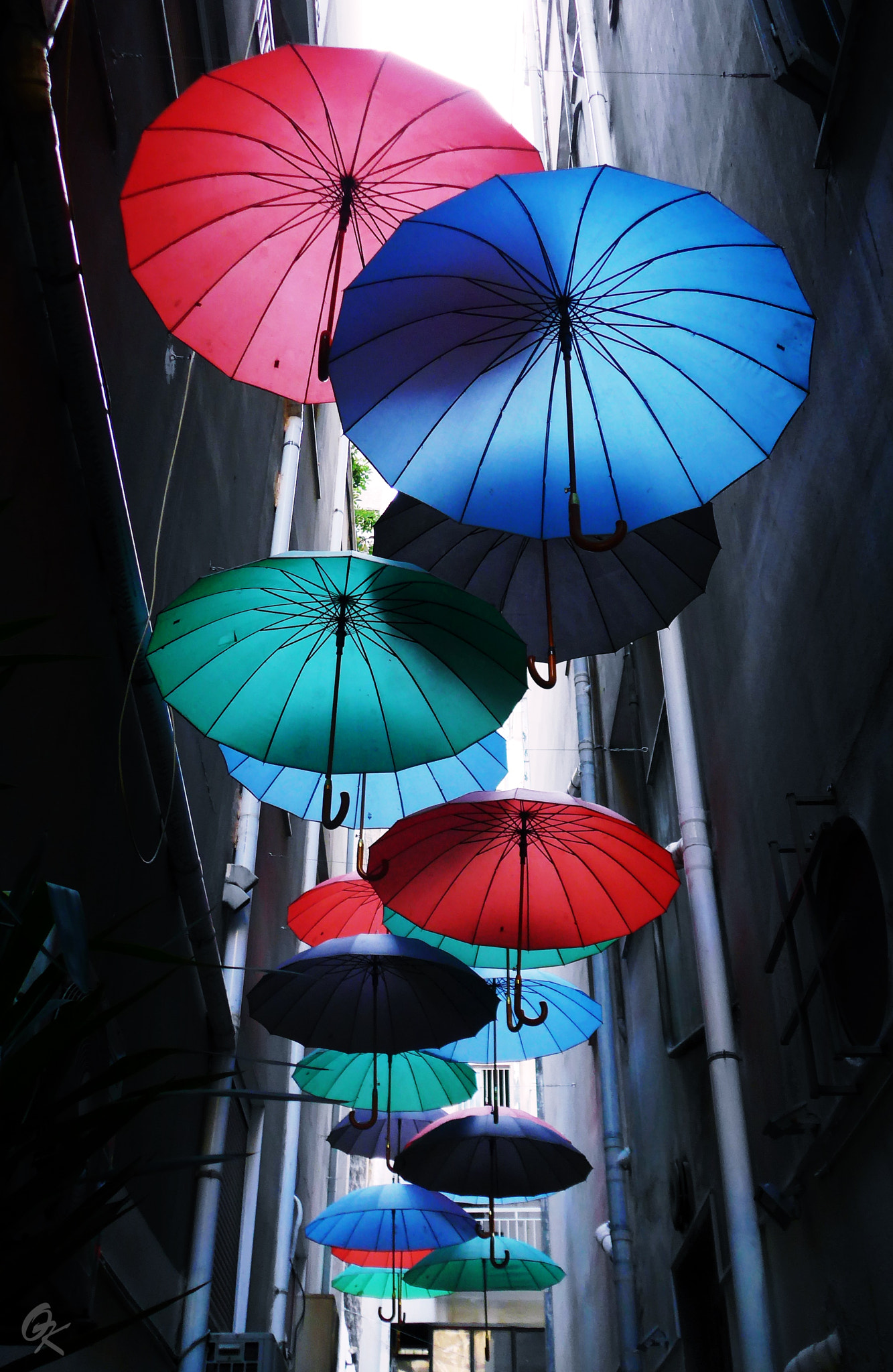 Leica C (Typ 112) sample photo. Looking up photography