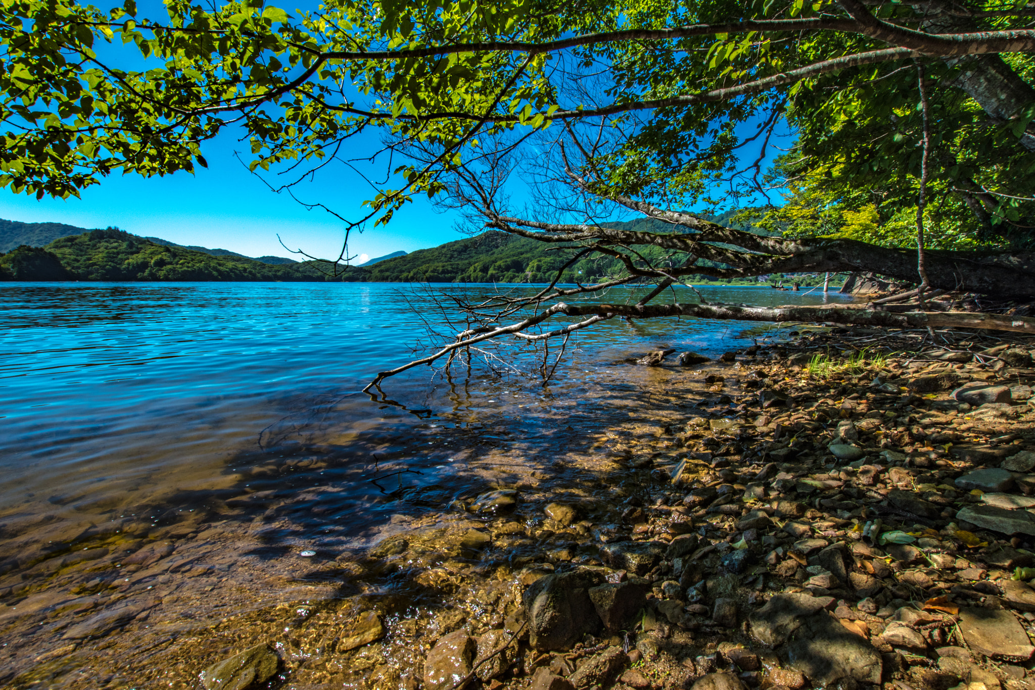 Nikon D5500 + Sigma 10-20mm F3.5 EX DC HSM sample photo. Lake hibara photography