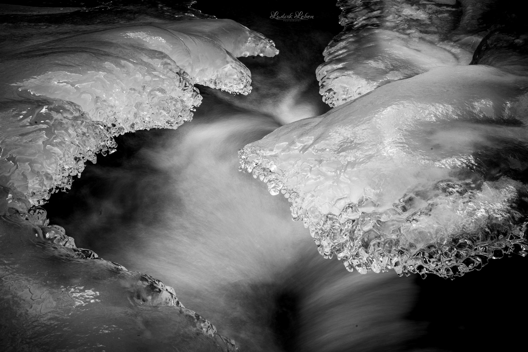 Sony a7 II + Sony 50mm F1.4 sample photo. Claws of winter photography