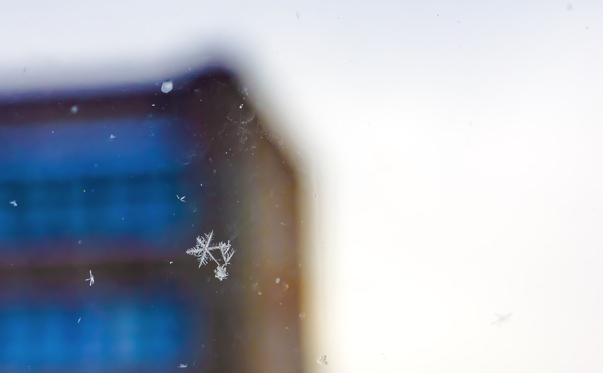 Sony MODEL-NAME sample photo. Snowflake photography