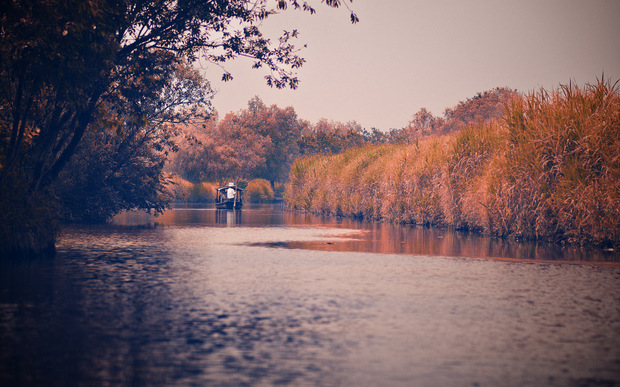 Olympus OM-D E-M10 sample photo. Xixi wetland photography