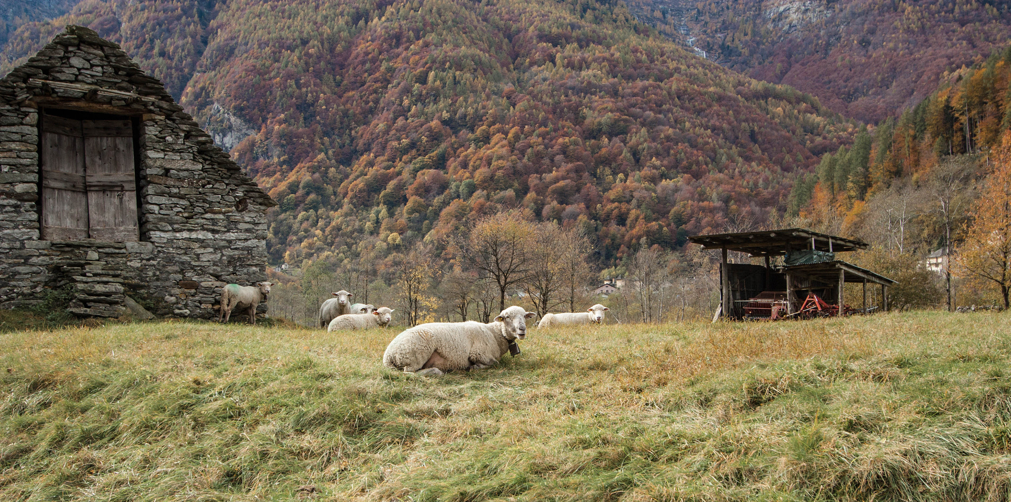 Canon EF-S 10-22mm F3.5-4.5 USM sample photo. Locus amoenus - val verzasca photography