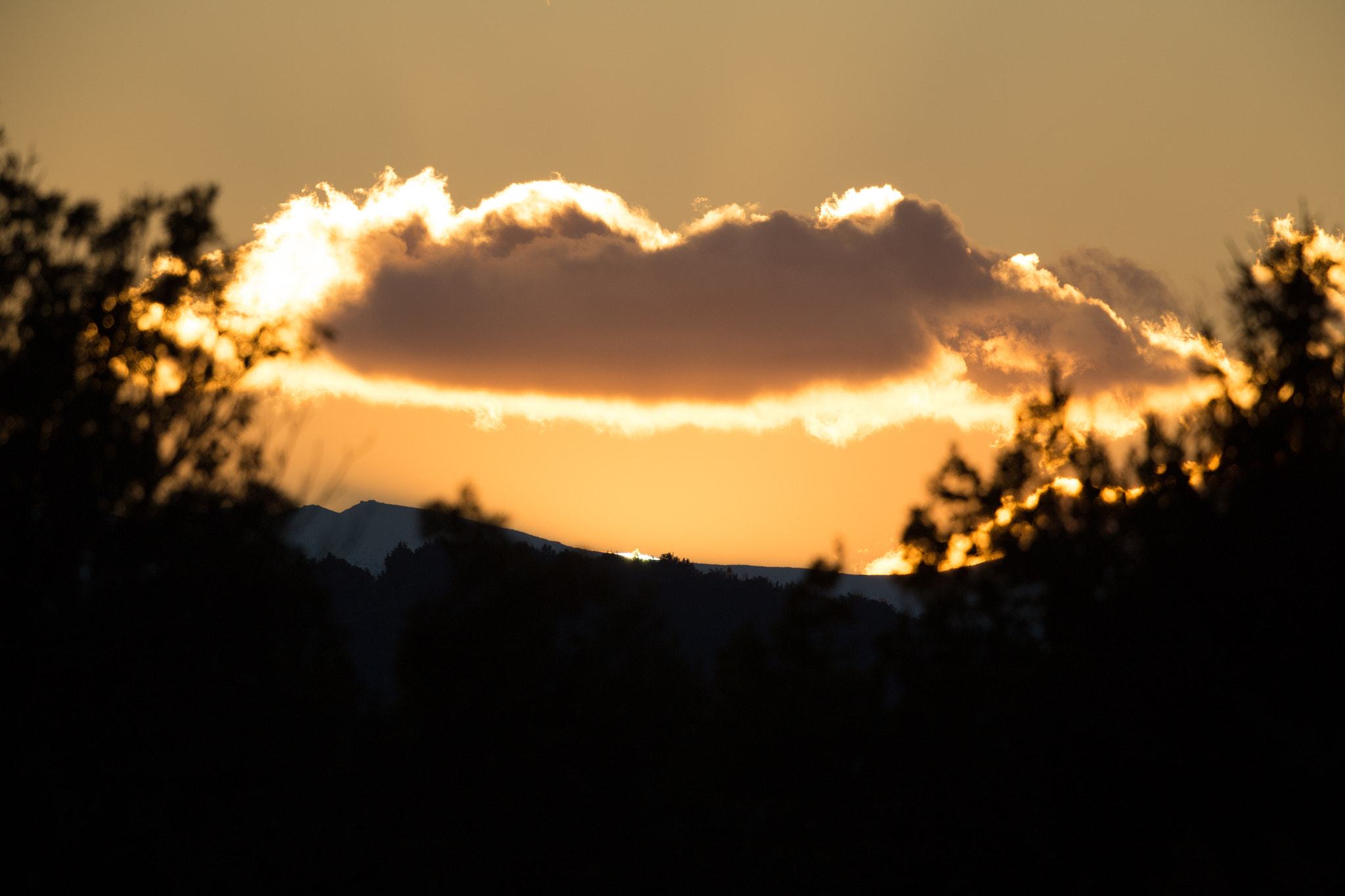 Canon EF 500mm F4L IS II USM sample photo. Sonnenuntergang photography