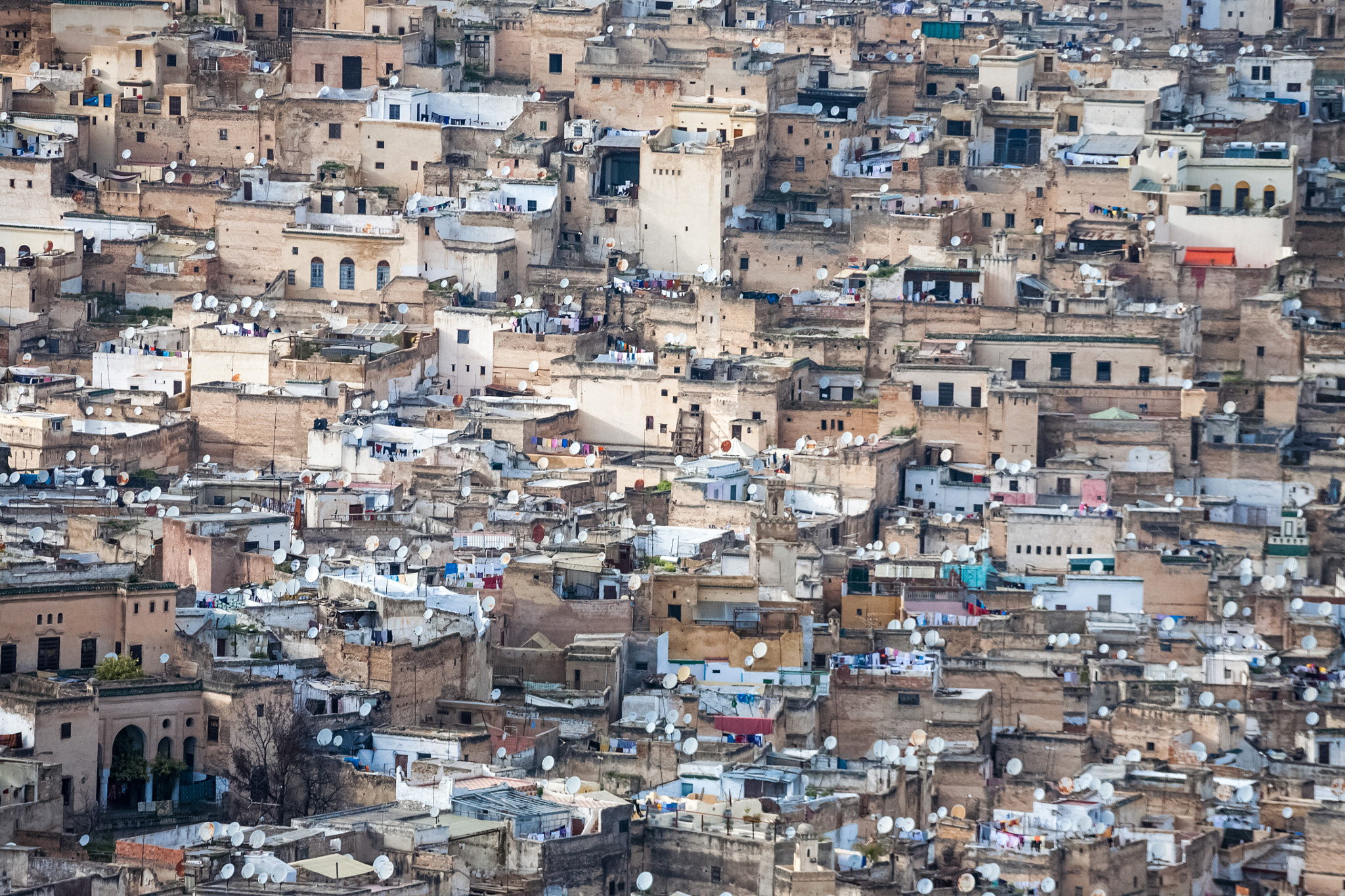 Canon EOS 5D + Canon EF 100-300mm f/5.6L sample photo. Morocco, fes photography