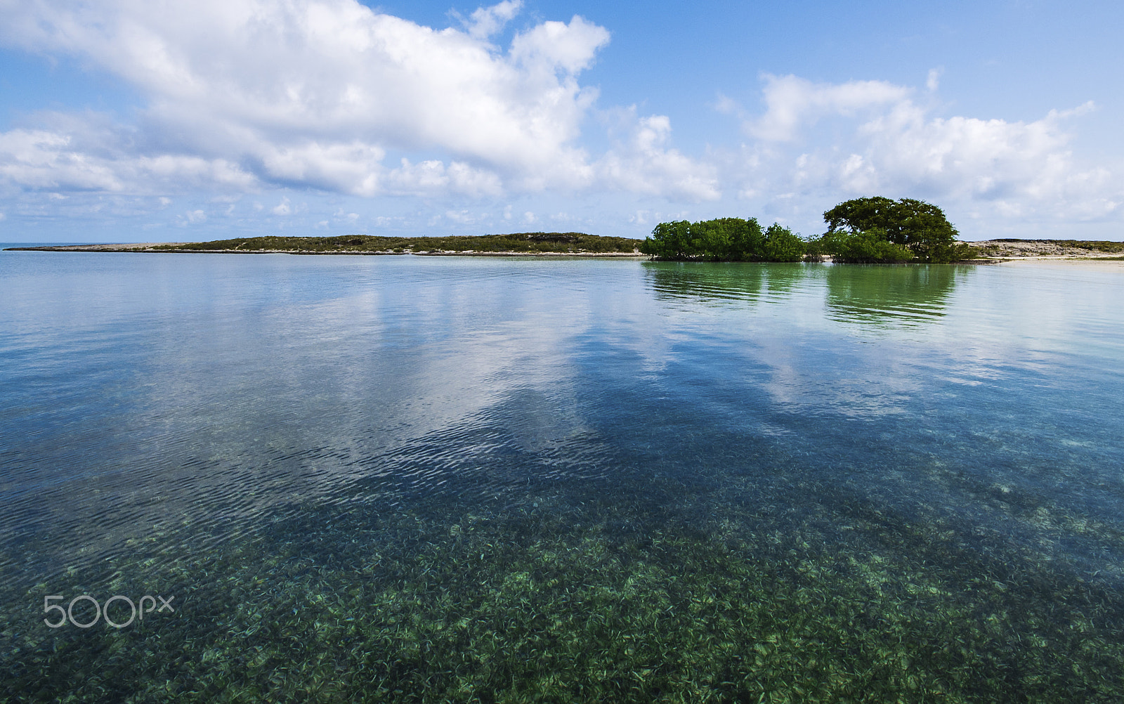 Sigma 10-20mm F4-5.6 EX DC HSM sample photo. Cove photography