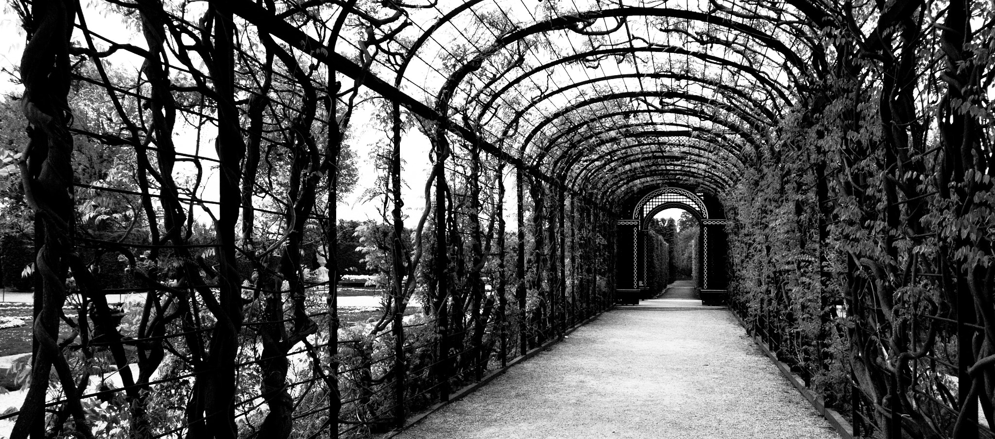Canon EF-S 10-22mm F3.5-4.5 USM sample photo. Labirinth - b&w photography
