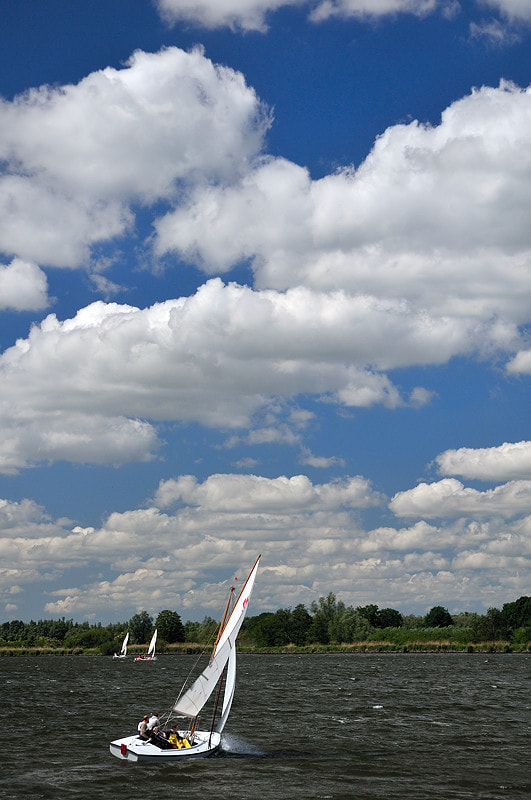 Nikon D300S + Nikon AF-S DX Nikkor 17-55mm F2.8G ED-IF sample photo. Sailing on the biesbosch photography