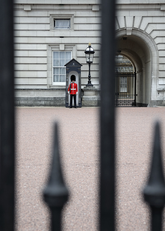 Nikon D300S sample photo. On guard, buckingham palace photography