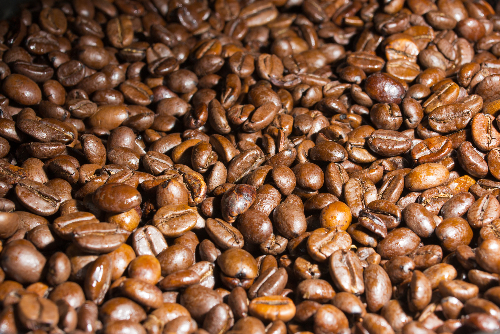 Canon EOS 60D + Sigma 35mm F1.4 DG HSM Art sample photo. Coffee beans under natural light photography