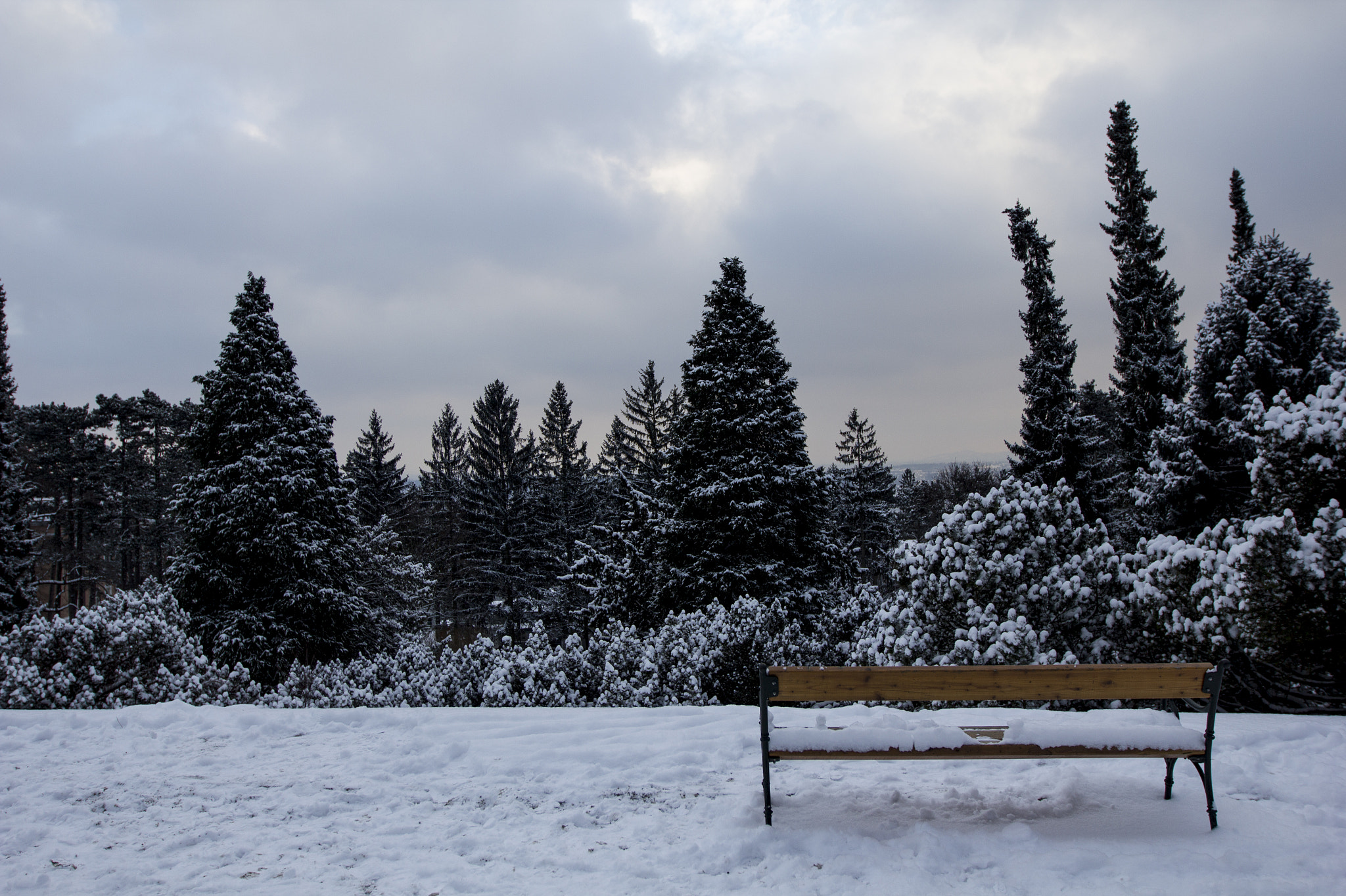 Canon EF 16-35mm F2.8L II USM sample photo. Bench photography