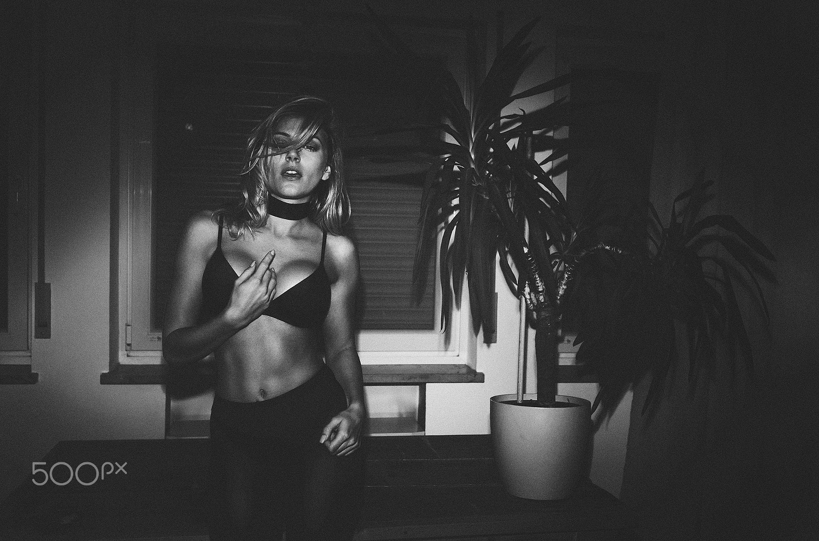 Canon EOS-1Ds Mark III sample photo. -kittymansion- photography