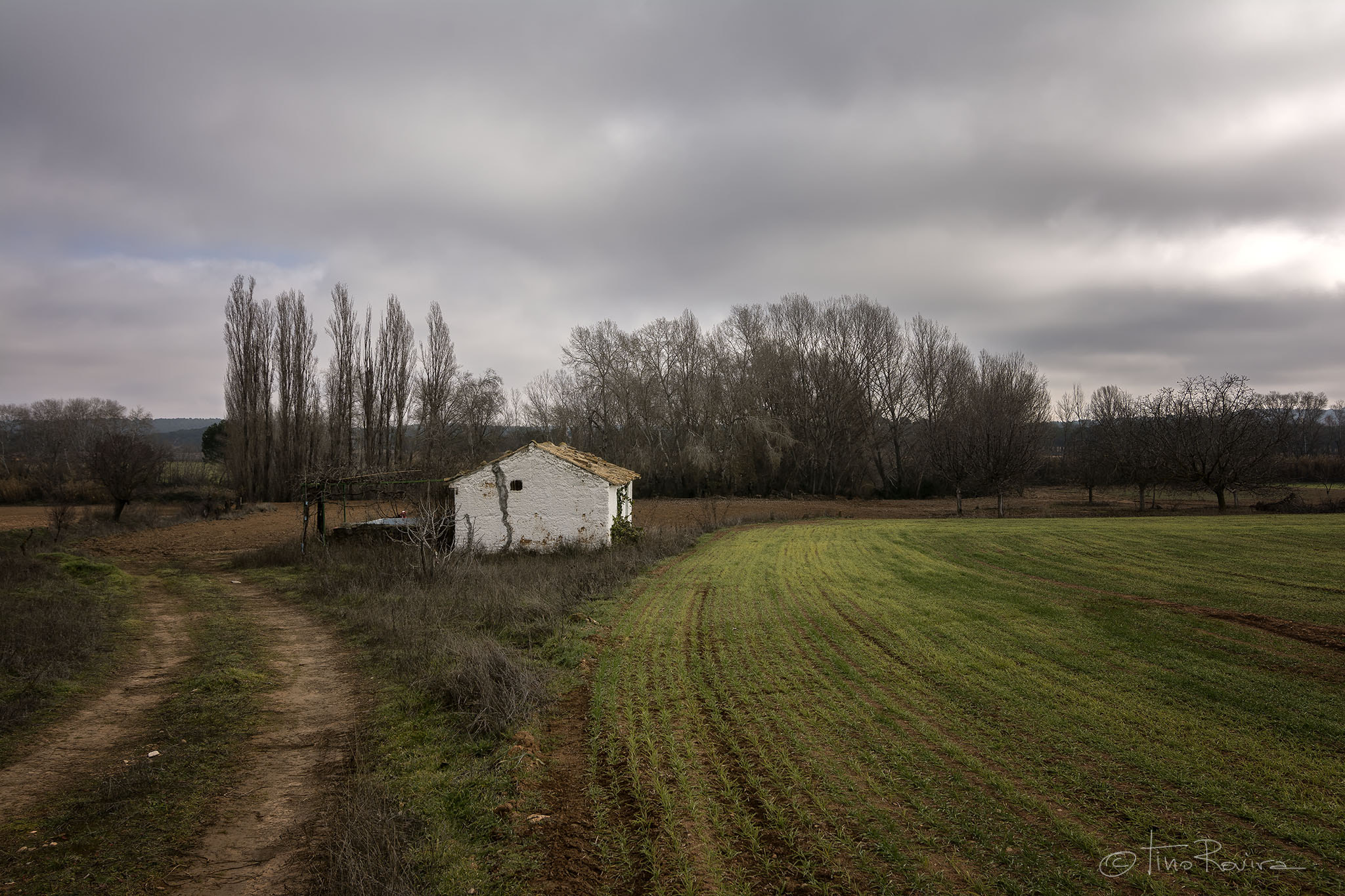 Tokina AT-X Pro 12-24mm F4 (IF) DX sample photo. El picazo, la mancha. photography