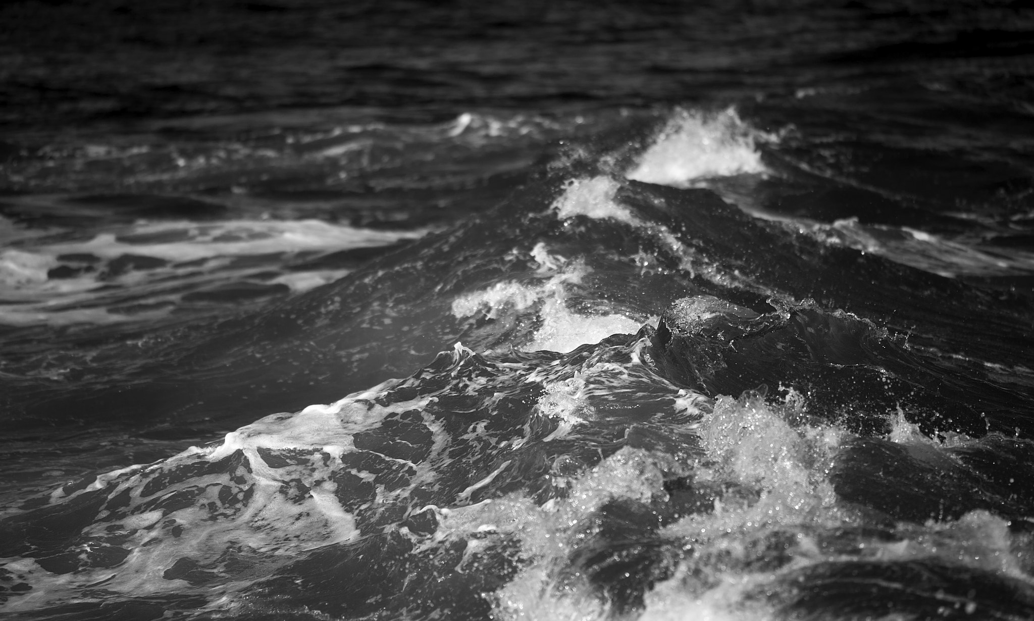 Sigma 150mm F2.8 EX DG OS Macro HSM sample photo. Wave i photography