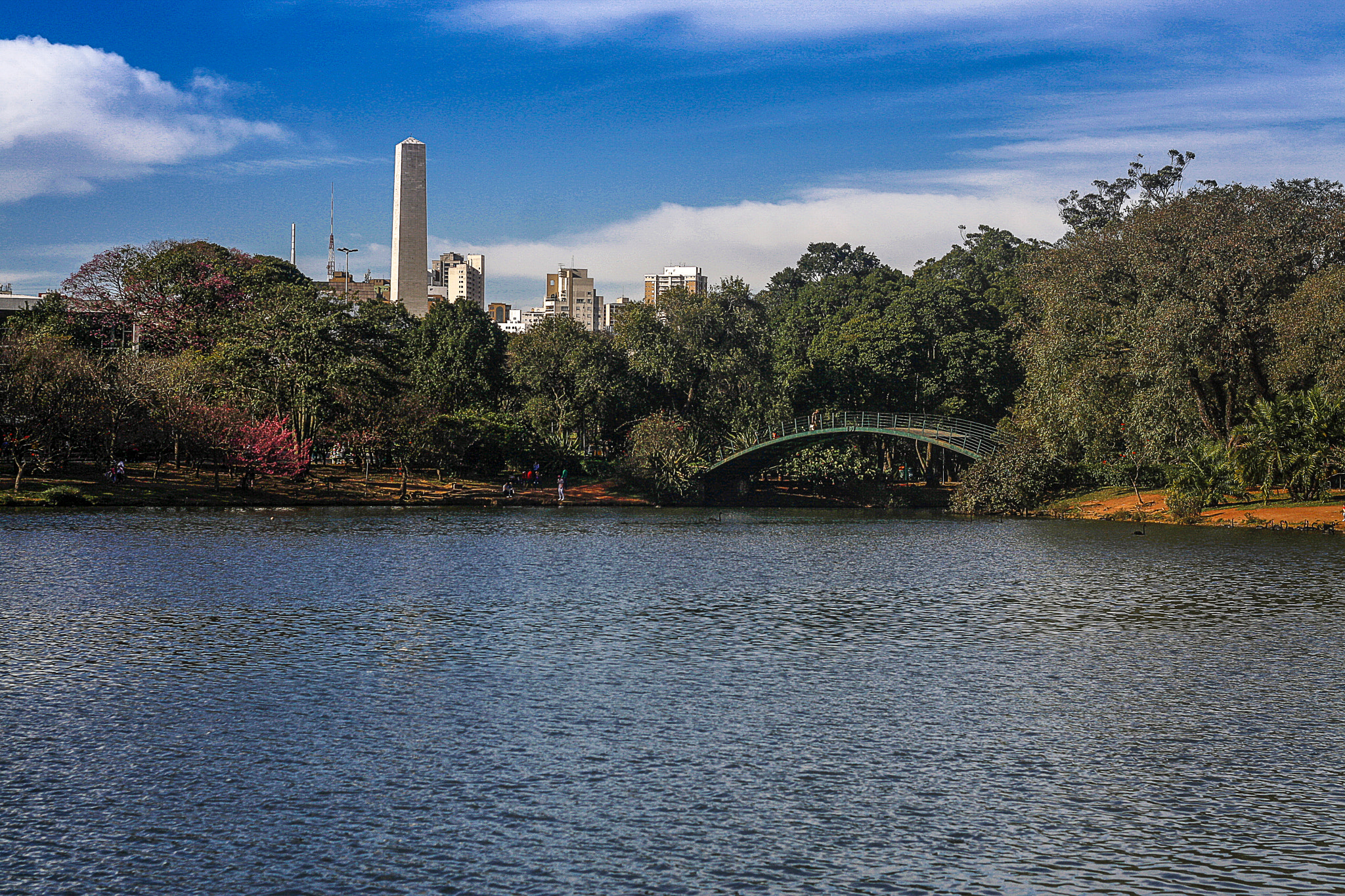 Canon EOS 1000D (EOS Digital Rebel XS / EOS Kiss F) sample photo. Ibirapuera sp photography