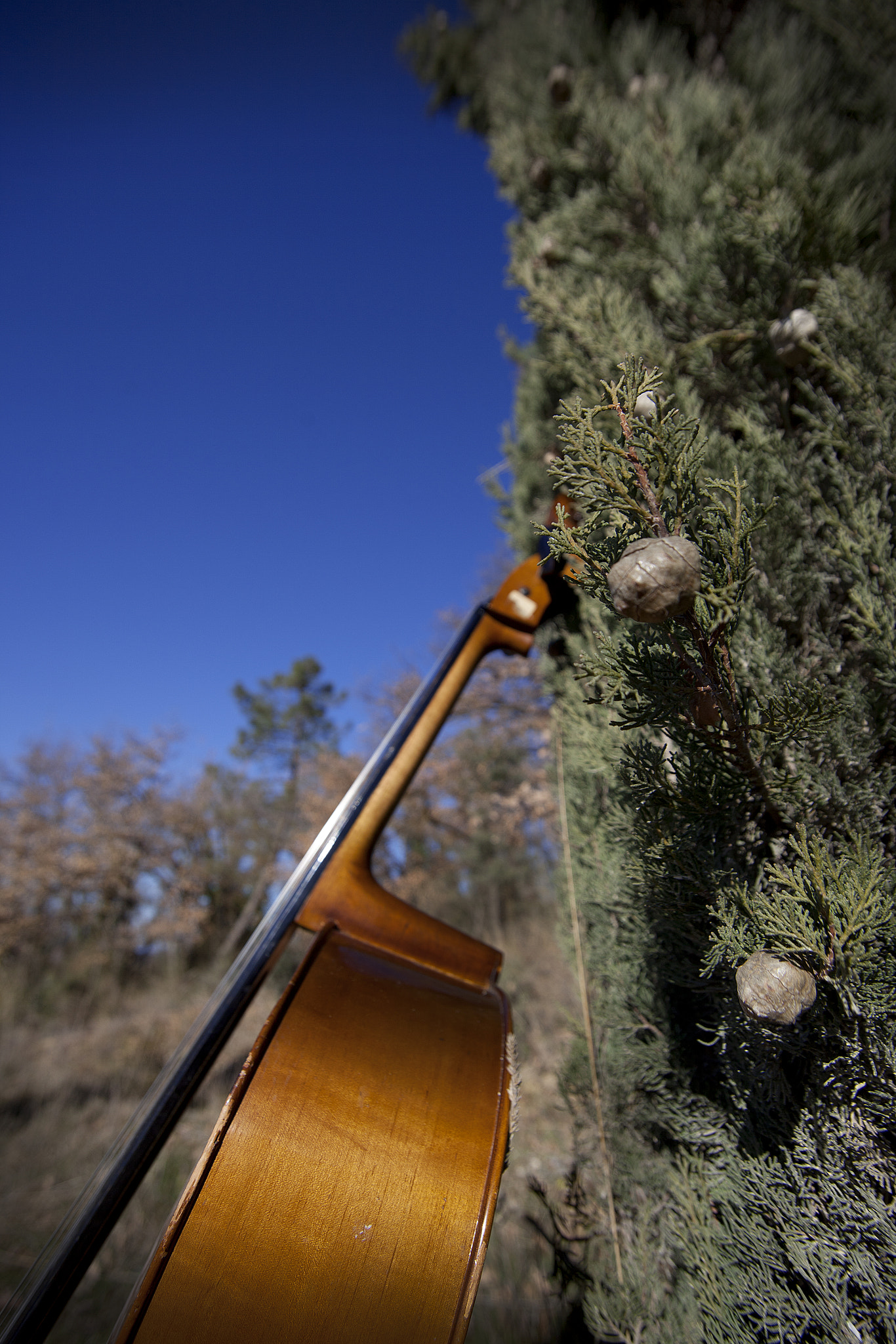 Sigma 17-35mm f/2.8-4 EX DG Aspherical HSM sample photo. Sounding line photography