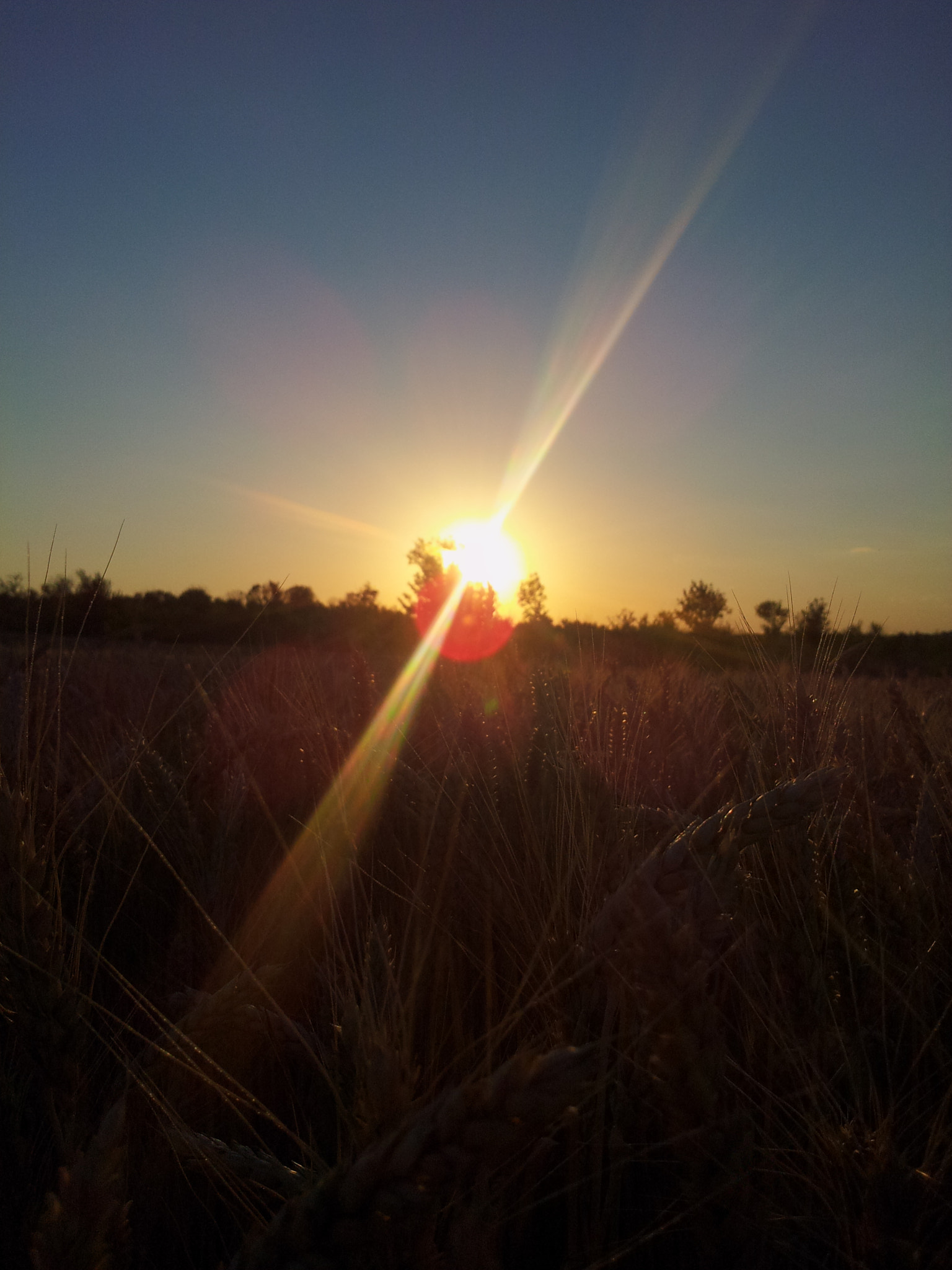Samsung Galaxy Note sample photo. чары природа photography