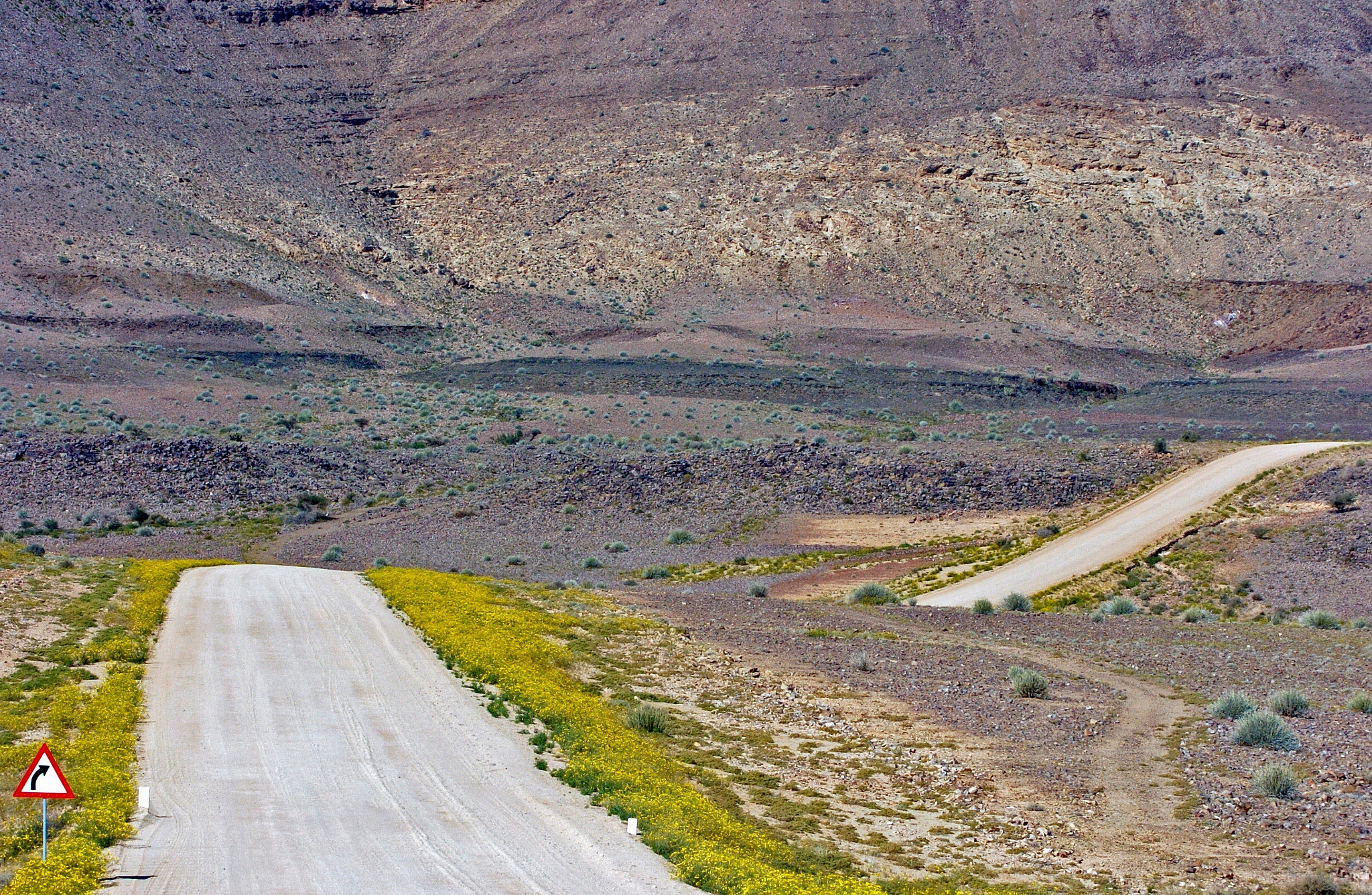 Nikon D2H sample photo. Namibian highway photography