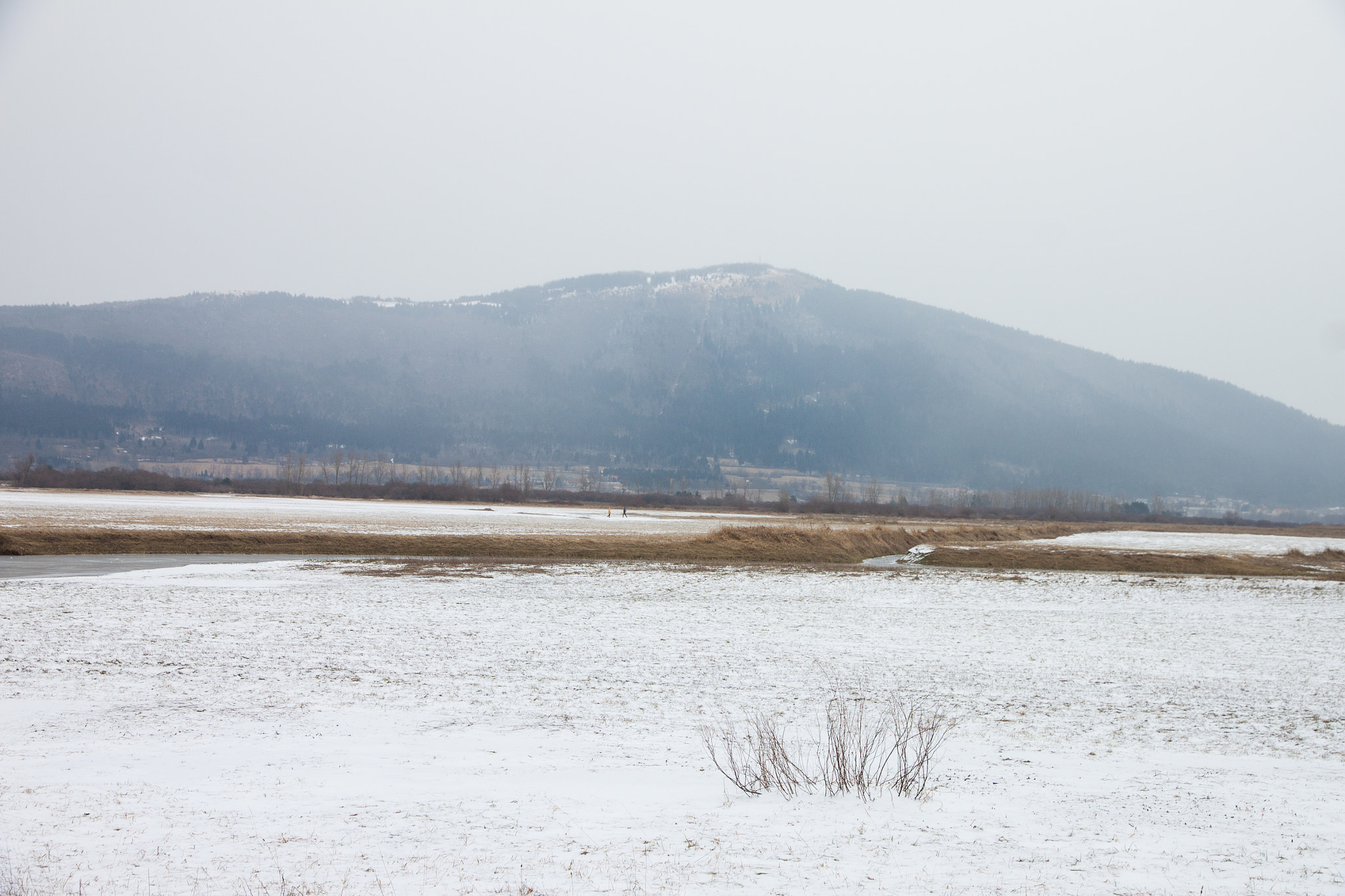 Canon EOS 500D (EOS Rebel T1i / EOS Kiss X3) sample photo. The distance photography