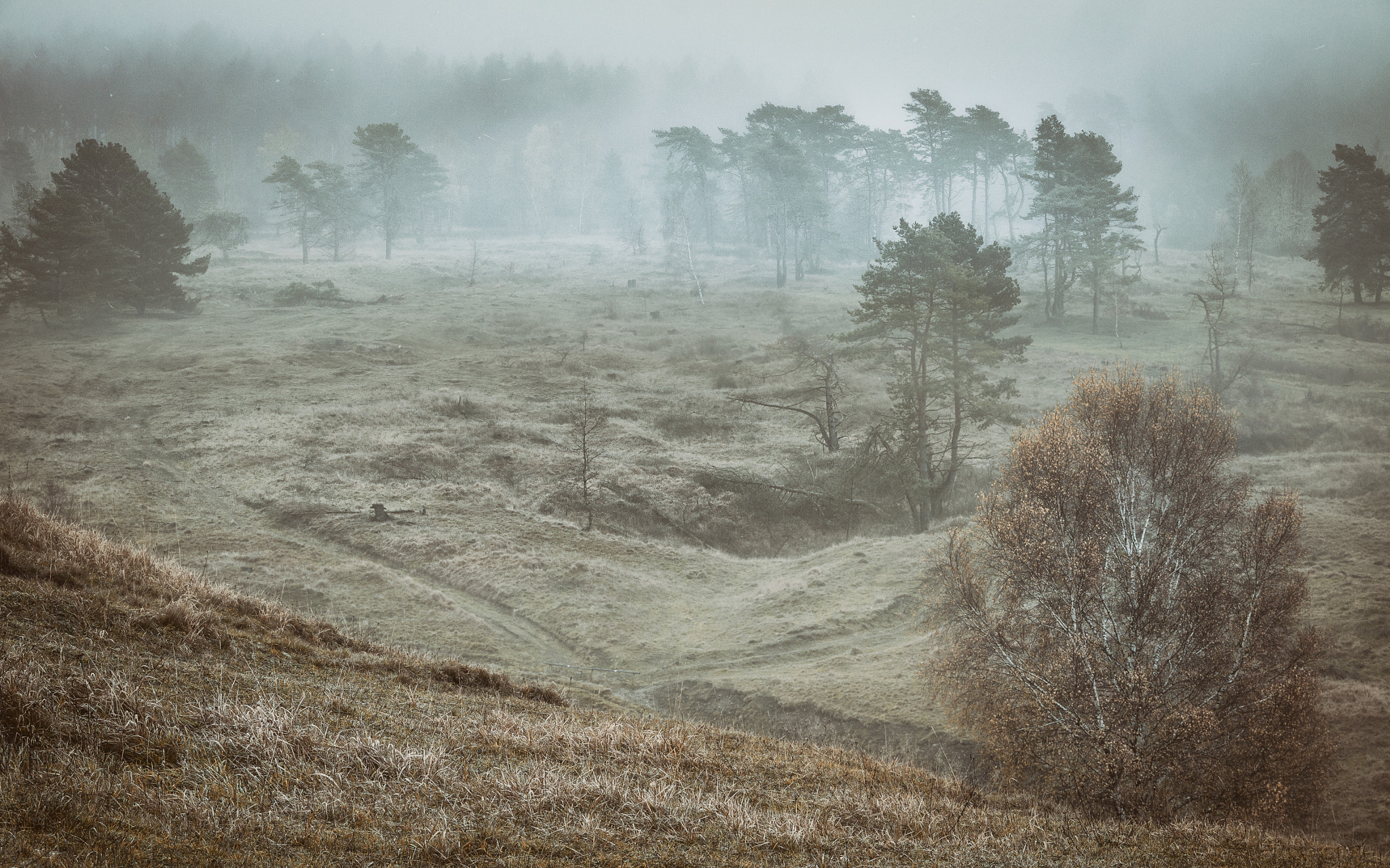 Canon EOS 50D sample photo. Foggy mood outdoors that morning photography