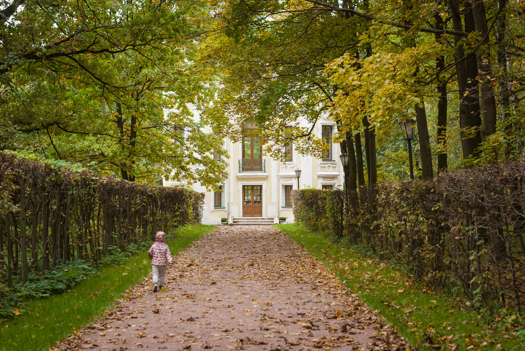 Nikon D80 + Nikon AF-S Nikkor 50mm F1.4G sample photo. Moscow park photography