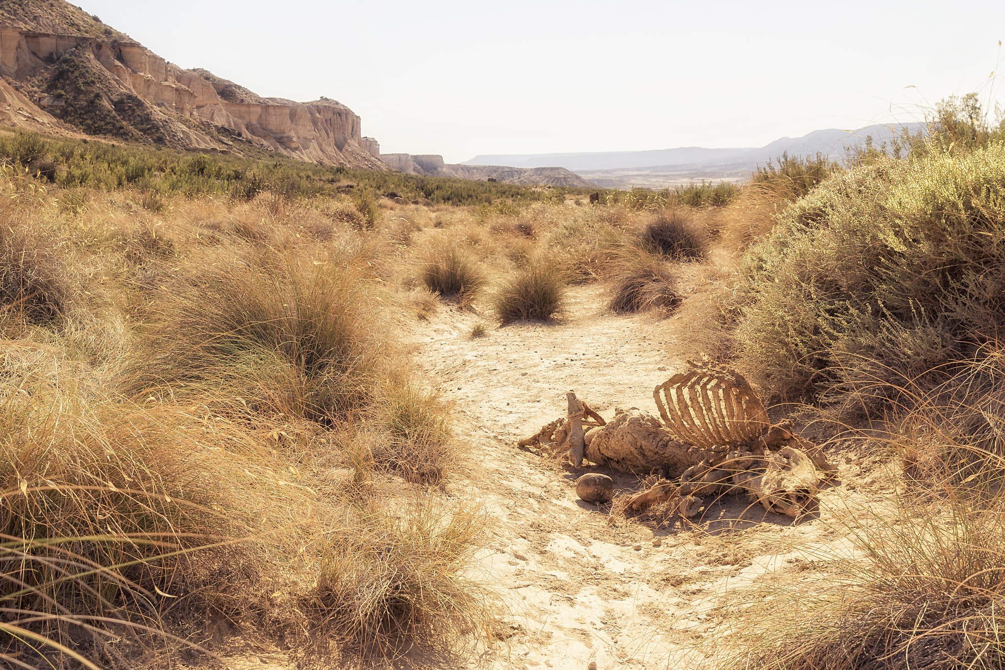 Sigma 24-70mm F2.8 EX DG Macro sample photo. Desert photography