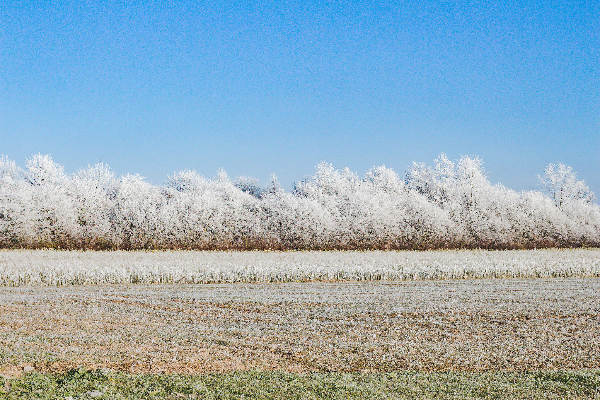 Canon EOS 700D (EOS Rebel T5i / EOS Kiss X7i) + Canon EF 17-40mm F4L USM sample photo. Winterspaziergang photography