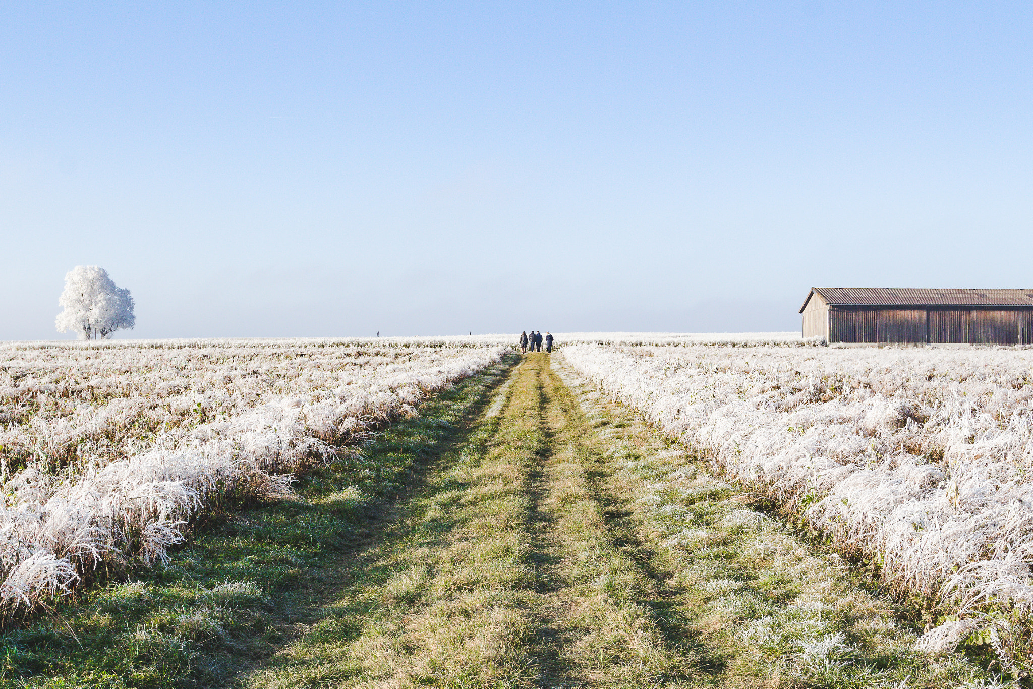 Canon EOS 700D (EOS Rebel T5i / EOS Kiss X7i) + Canon EF 17-40mm F4L USM sample photo. Winterspaziergang photography