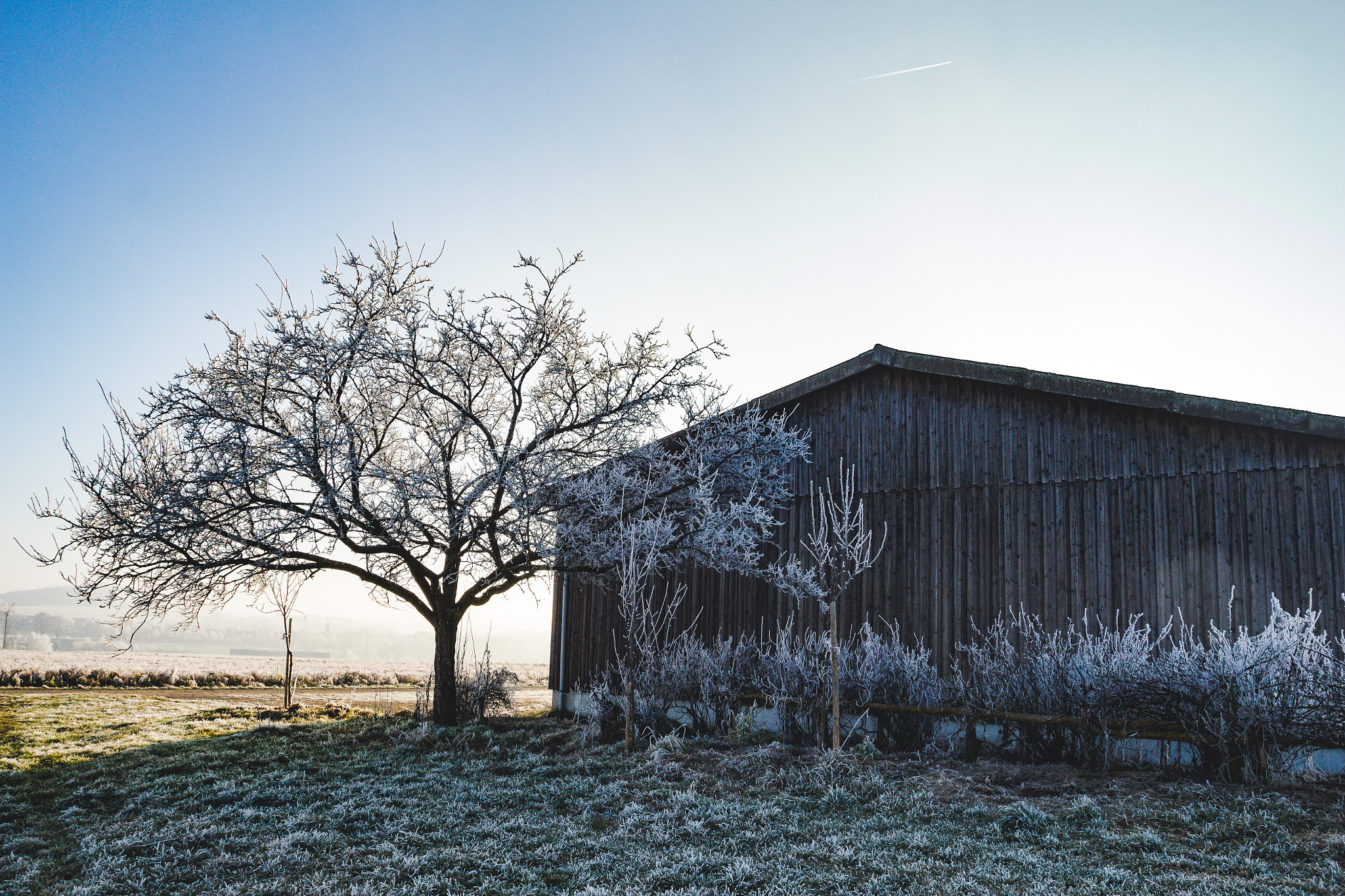 Canon EOS 700D (EOS Rebel T5i / EOS Kiss X7i) + Canon EF 17-40mm F4L USM sample photo. Winterspaziergang photography