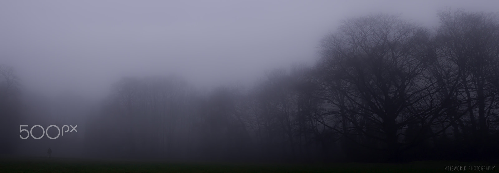 Canon EOS 700D (EOS Rebel T5i / EOS Kiss X7i) + Canon EF 24mm F2.8 sample photo. Creepy fog photography