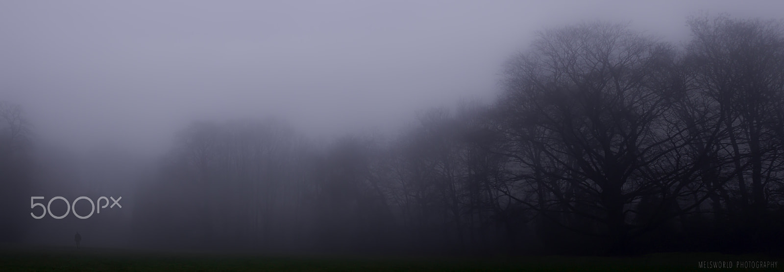 Canon EF 24mm F2.8 sample photo. Creepy fog photography