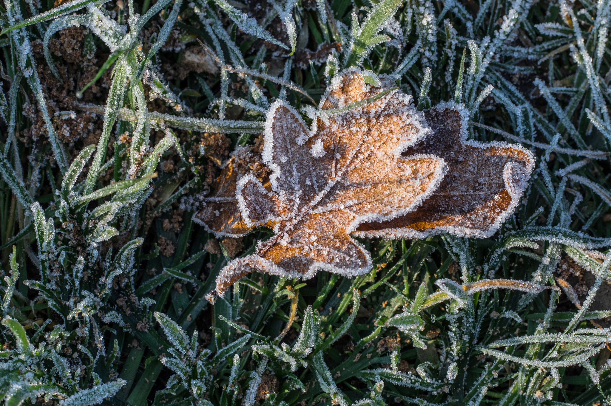 Pentax K-3 sample photo. Winter photography