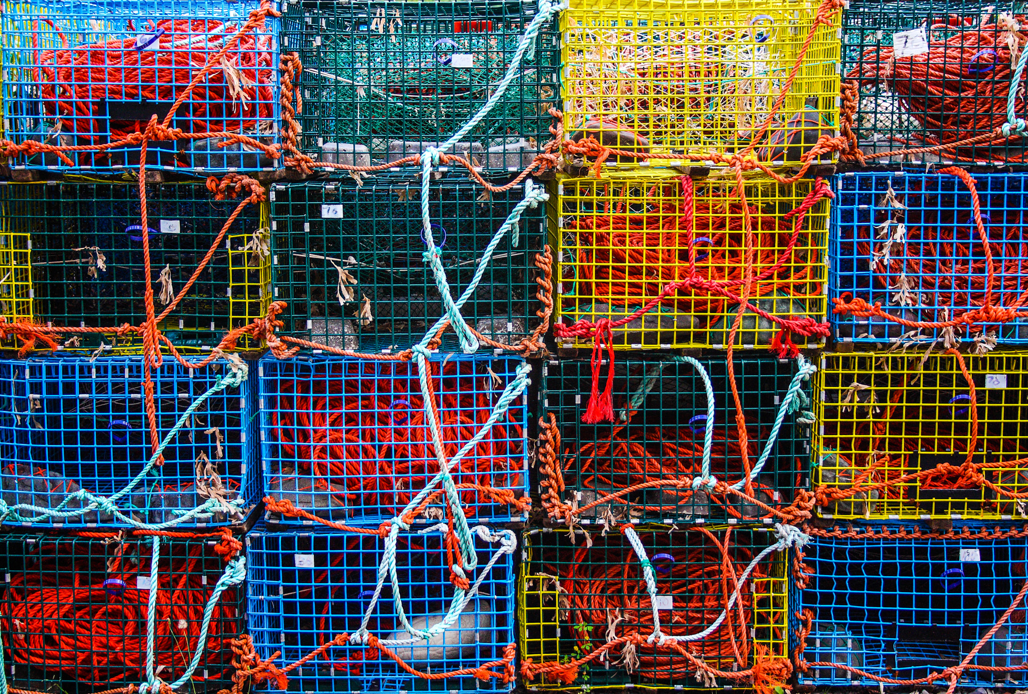 Canon EOS 1000D (EOS Digital Rebel XS / EOS Kiss F) sample photo. Cages photography