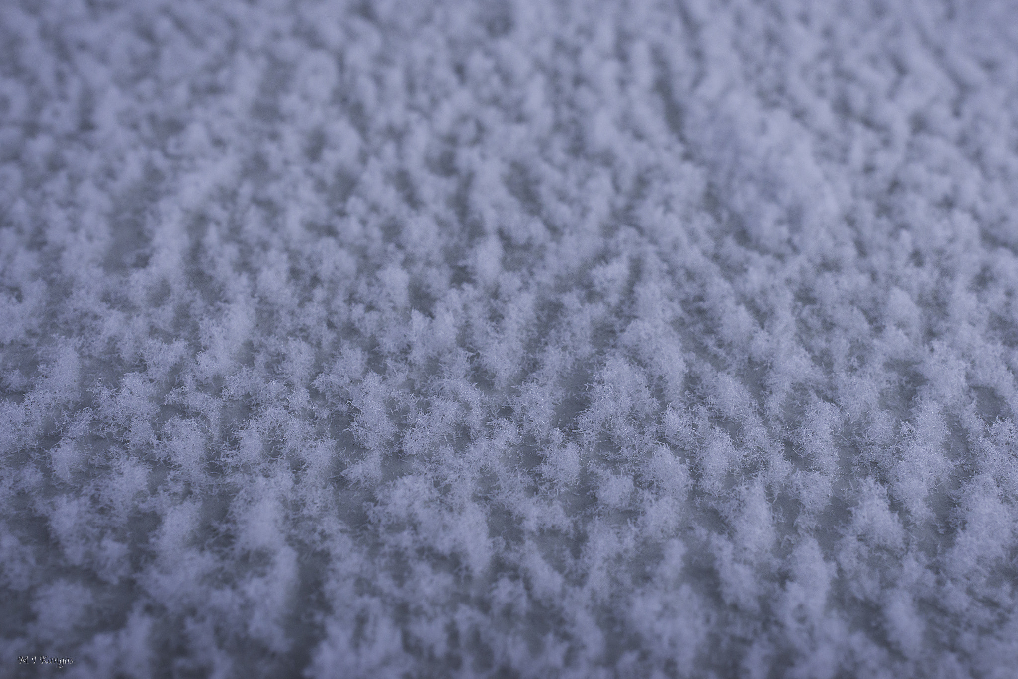 Nikon D610 + Samyang 35mm F1.4 AS UMC sample photo. Snowonmetal photography