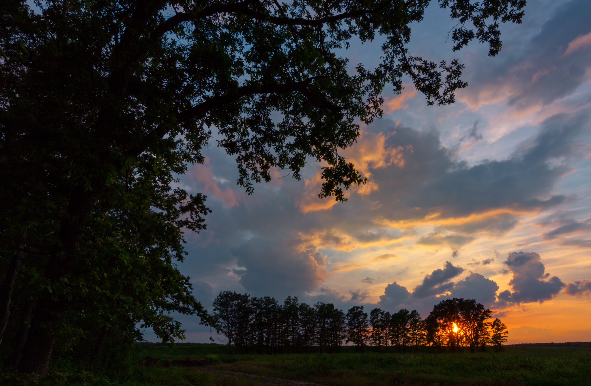 Tokina AT-X 12-28mm F4 Pro DX sample photo. Hide-and-seek photography