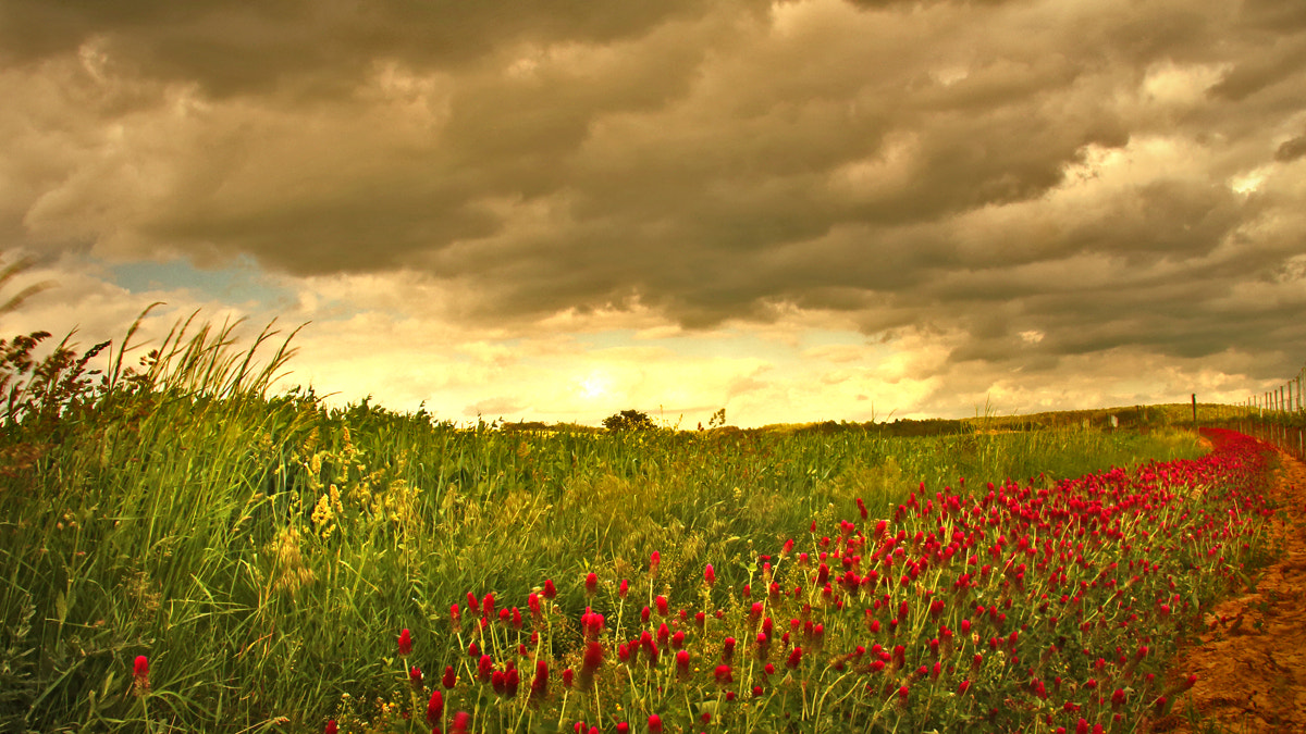 Canon EOS 650D (EOS Rebel T4i / EOS Kiss X6i) sample photo. Deep clouds photography