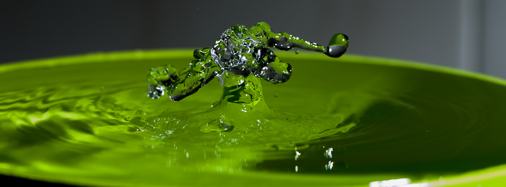 Nikon AF-S Micro-Nikkor 105mm F2.8G IF-ED VR sample photo. Monster green photography