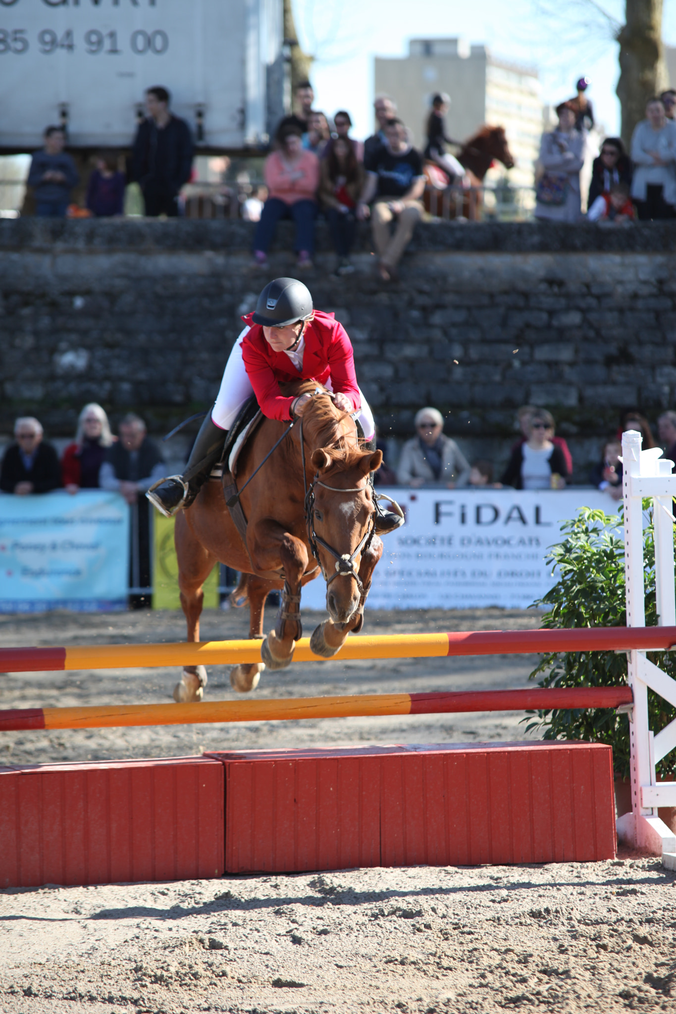 Sigma 70-200mm F2.8 EX DG OS HSM sample photo. Horse show photography