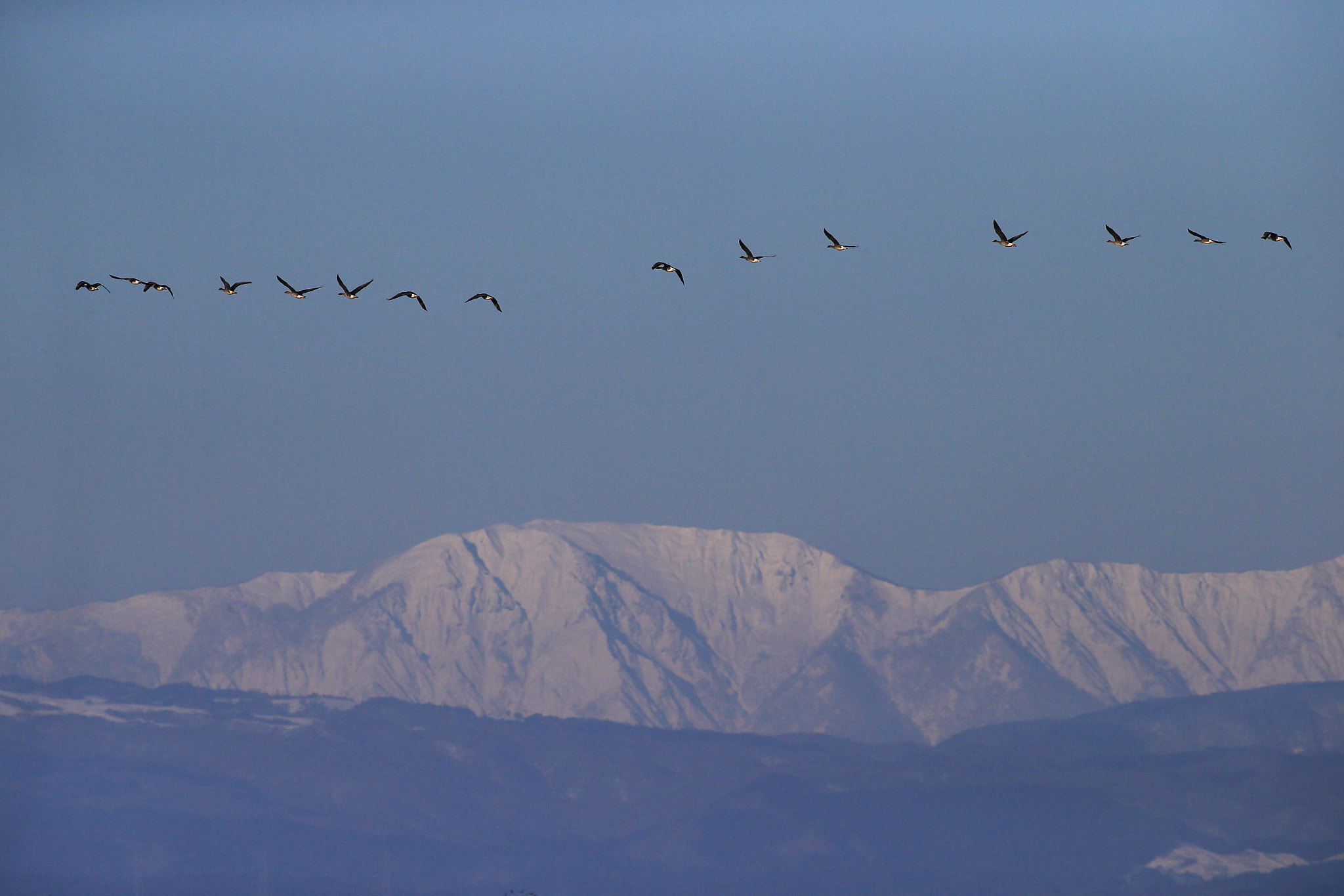 Canon EOS-1D X + Canon EF 600mm f/4L IS sample photo. Beyond the snowy mountains photography