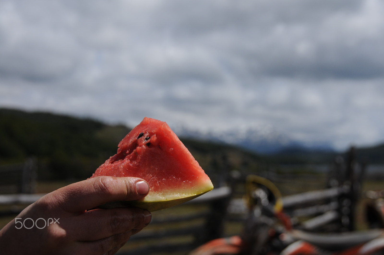 Nikon D300S sample photo. Watermelon snack at la tapera, aysén, chile photography