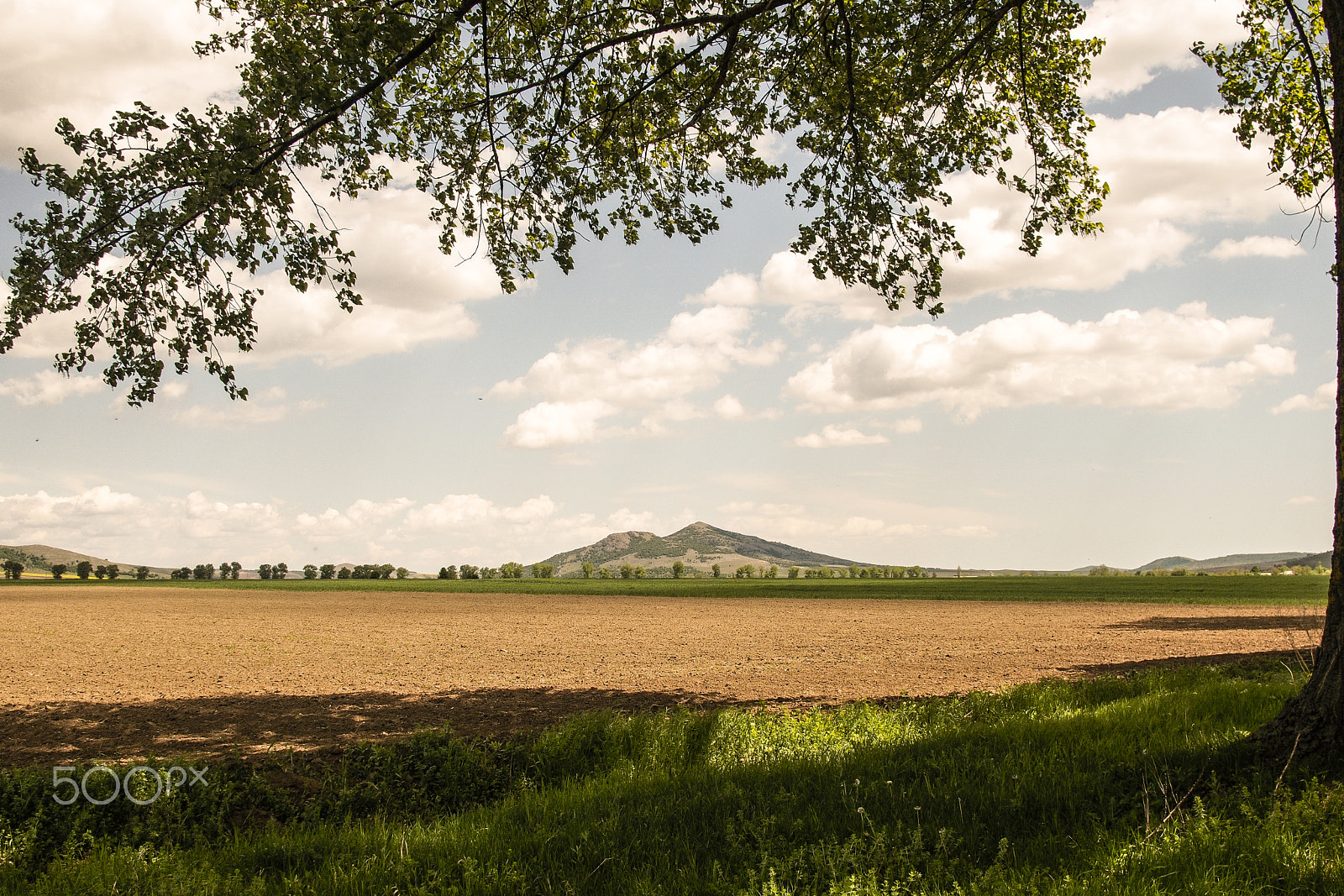 Olympus OM-D E-M5 + Sigma 19mm F2.8 DN Art sample photo. Macin mountains photography