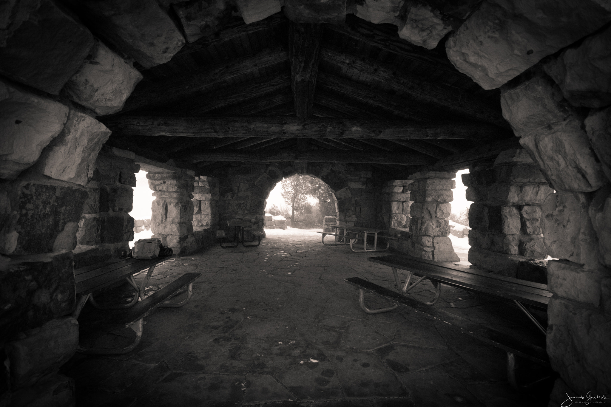Nikon D3400 sample photo. Lion's den photography