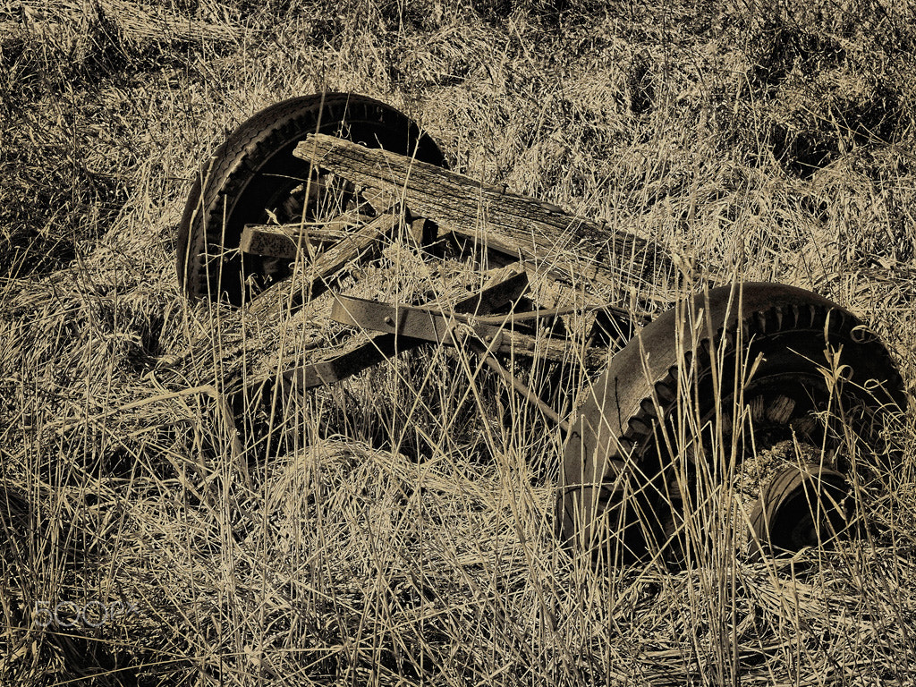 Olympus Zuiko Digital ED 12-60mm F2.8-4.0 SWD sample photo. Farm equipment photography