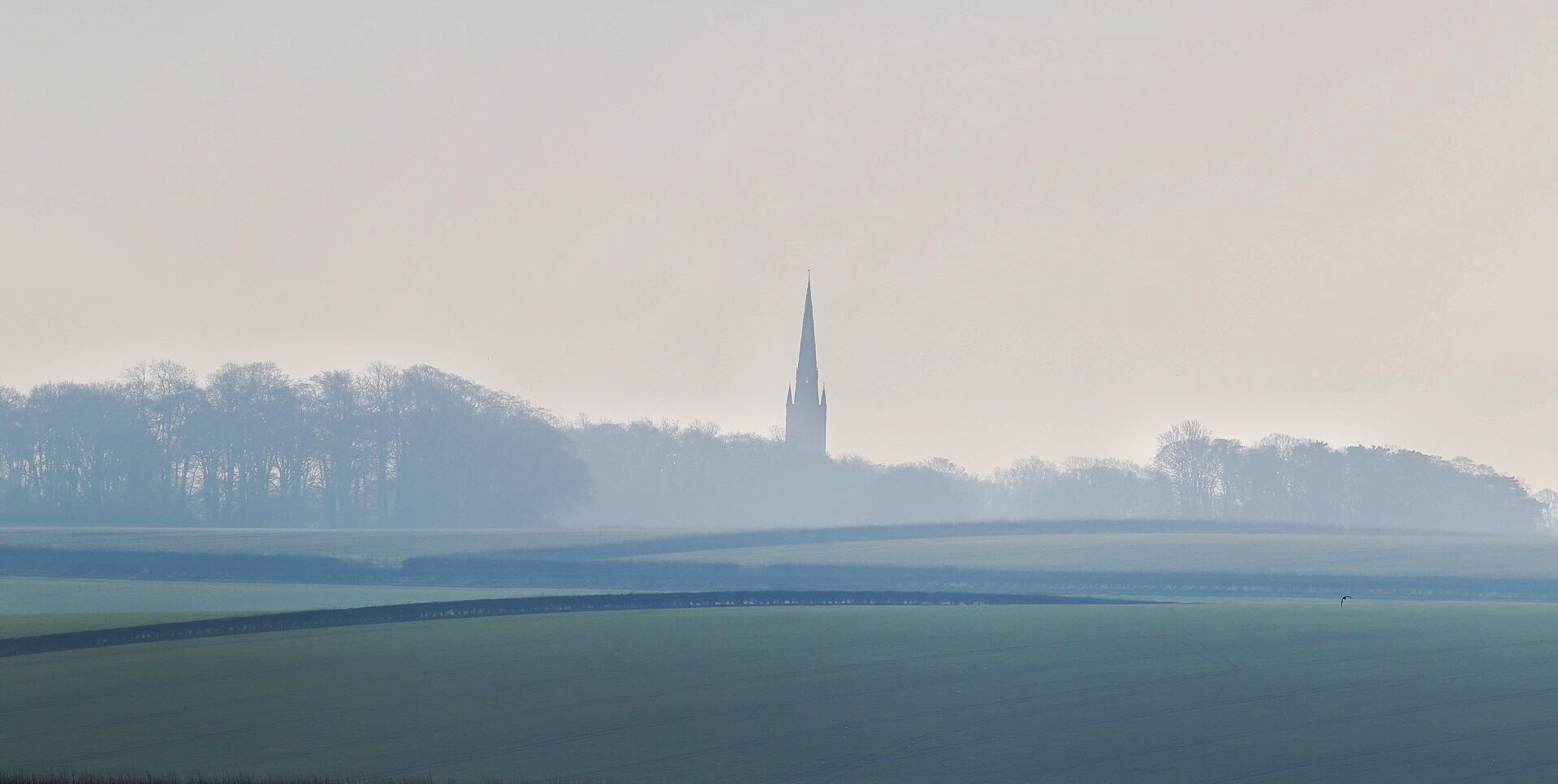 Canon EOS 6D + Canon EF 300mm F4L IS USM sample photo. Foggy day photography