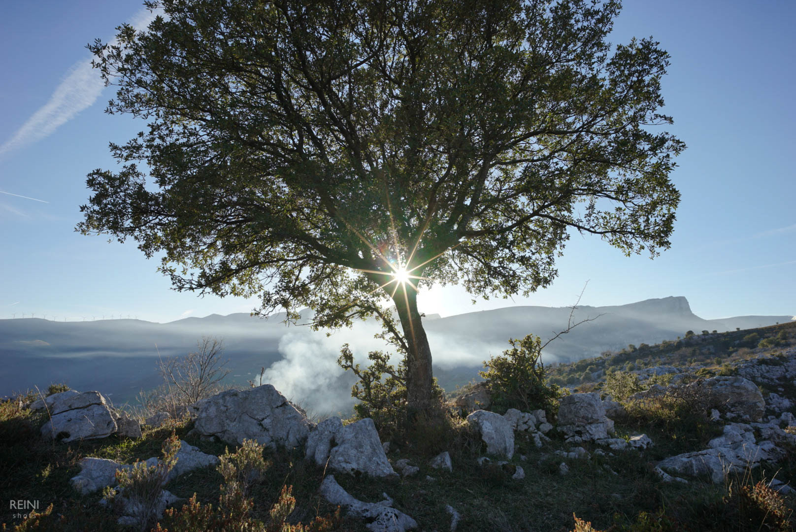 E 21mm F2.8 sample photo. La encina de astrana photography