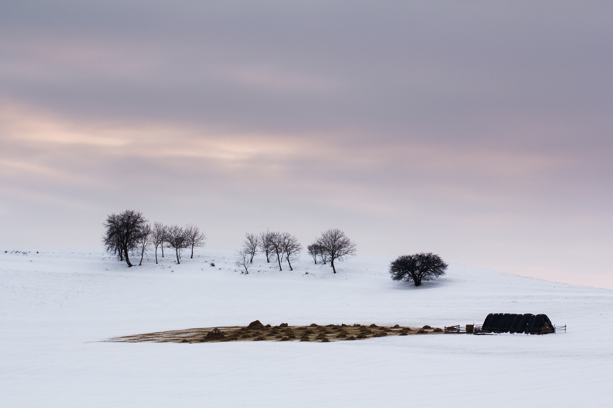Canon EOS 60D sample photo. Winter landscape photography