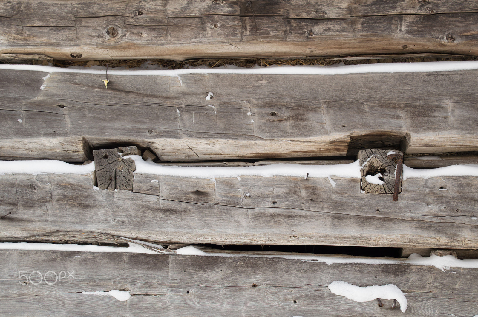 Nikon D3200 sample photo. Log cabin sawn logs closeup with snow in between photography